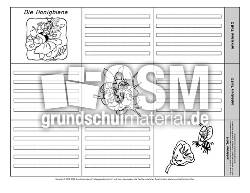 Leporello-Honigbiene-3-1-2.pdf